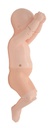 US-13 Infant Hip Sonography Training Phantom