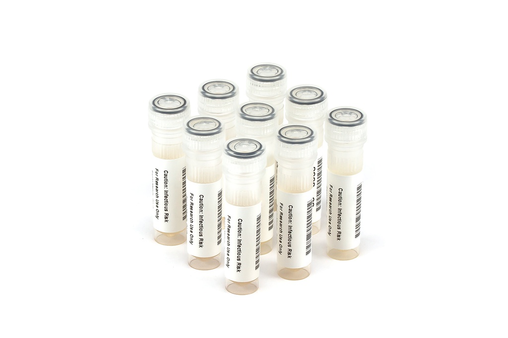 HBV11000 HBV Seroconversion Panel Donor n. 65449 (9x 1 ml)