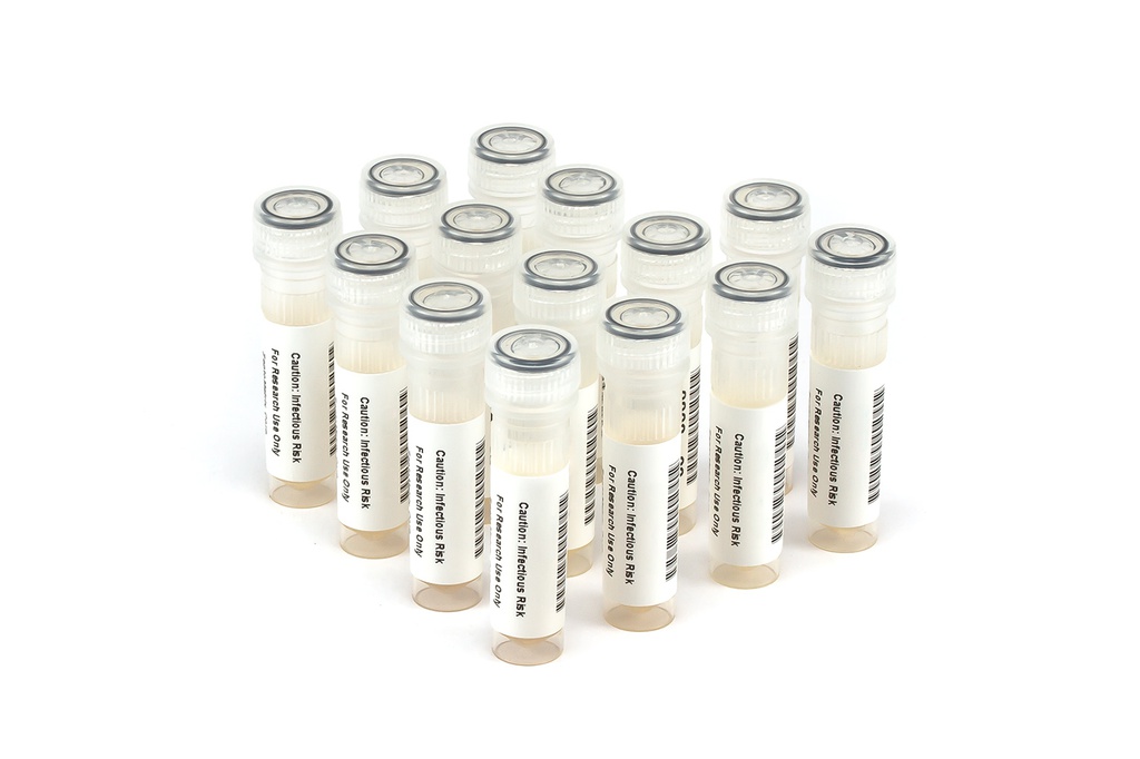 HBV11005 HBV Seroconversion Panel Donor n. 65777