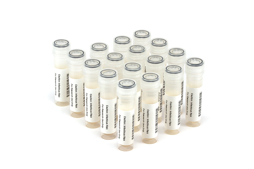 HBV11006 HBV Seroconversion Panel Donor n. 66201 (17x 1 ml)