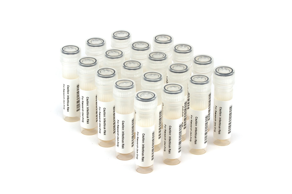 HBV6284 HBV Seroconversion Panel Donor n. 62347 (19x 1 ml)