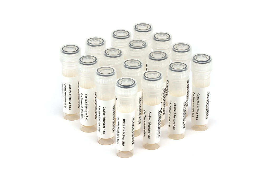 HBV6285 HBV Seroconversion Panel Donor n. 62967 (16x 1 ml)