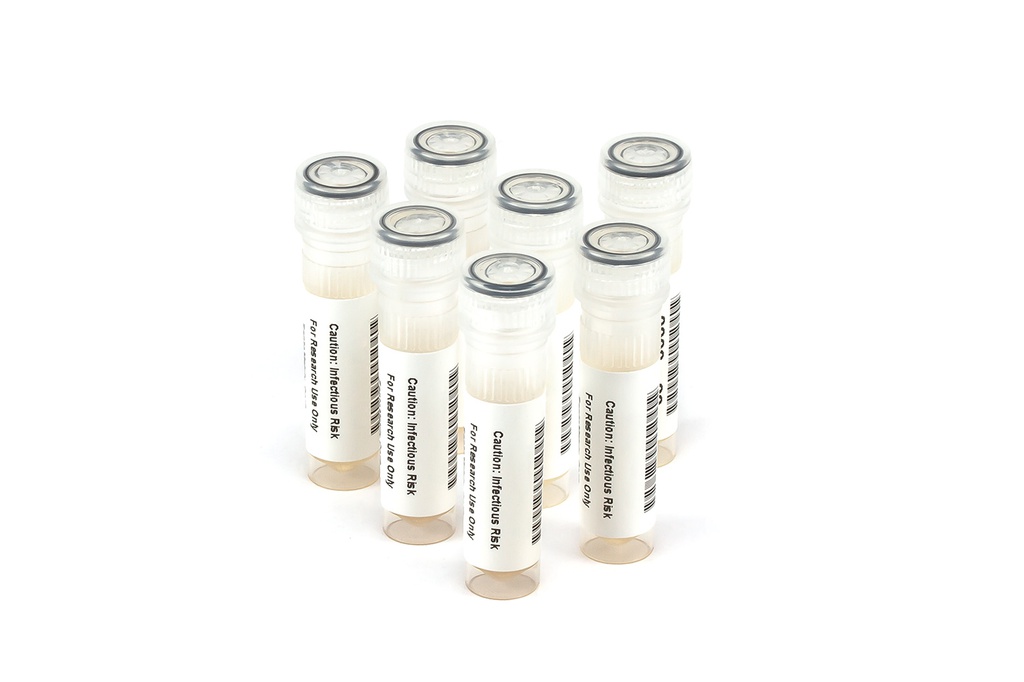 HCV10010 HCV Seroconversion Panel Donor n. 65470 (7x 1 ml)