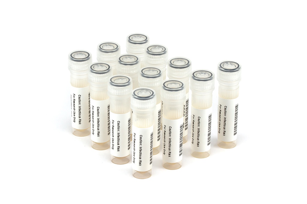 HCV10012 HCV Seroconversion Panel Donor n. 66747 (13x 1 ml)