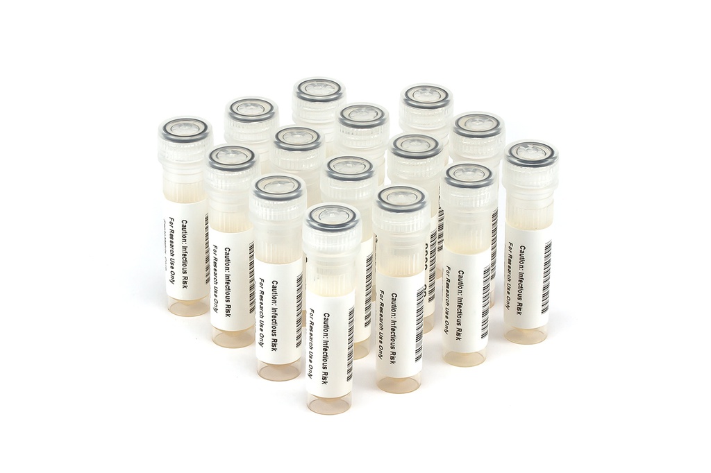 HCV10050 HCV PCR Seroconversion Panel Donor n. 67766 (15x 1 ml)