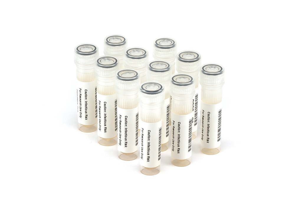 6536 HBV Longitudinal Panel (11x 1.0 ml)