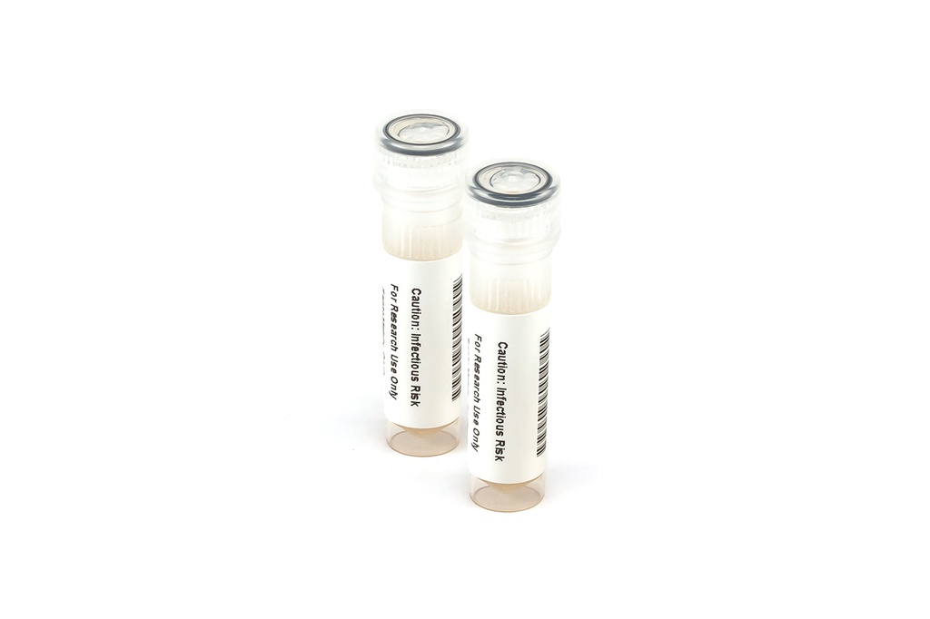 KZMC035 Adenovirus Rapid Test Control Pack