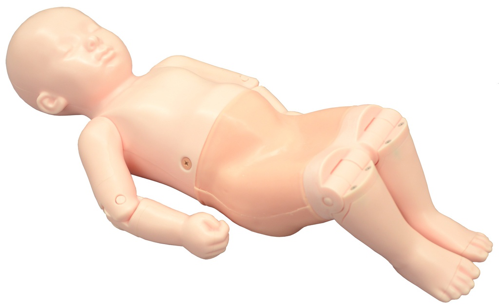 US-13 Infant Hip Sonography Training Phantom