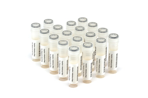[HBV11010] HBV11010 HBV Seroconversion Panel Donor n. 67457 (18x 1 ml)