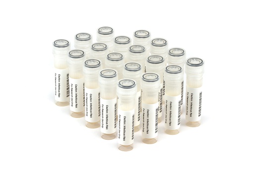 [HBV6284] HBV6284 HBV Seroconversion Panel Donor n. 62347 (19x 1 ml)