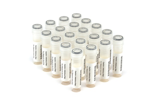 [HBV9099] HBV9099 HBV Seroconversion Panel Donor n. 75255 (20x 1 ml)