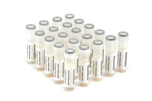 [HCV10023] HCV10023 HCV Seroconversion Panel Donor n. 67505 (21x 1 ml)