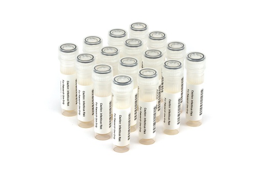 [HCV10029] HCV10029 HCV Seroconversion Panel Donor n. 67539 (14x 1 ml)