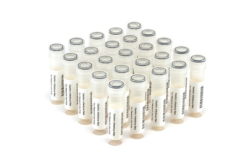 [NATRVP2.1-BIO Plus] NATRVP2.1-BIO Plus NATtrol Respiratory Verification Panel 2 Plus (SET)