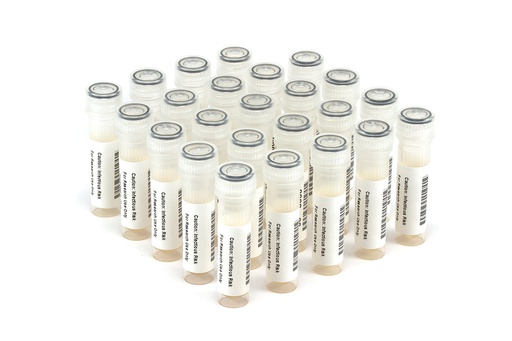 [NATSAVP1-C] NATSAVP1-C NATtrol Strep A Verification Panel