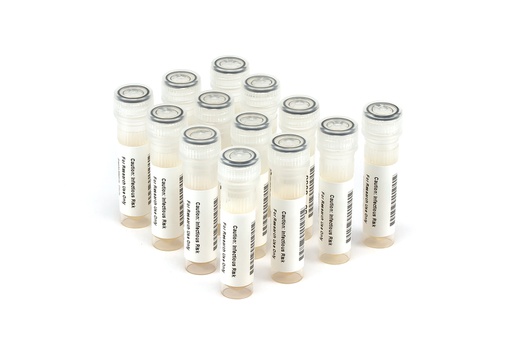 [NATRPC2.1-BIO Plus] NATRPC2.1-BIO Plus NATtrol Respiratory Panel 2 (RP2) Controls Plus (SET)